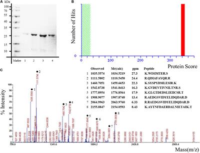 Low Level Antibodies Against Alpha-Tropomyosin Are Associated With Increased Risk of Coronary Heart Disease